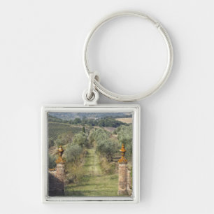 Wijngaarden, Toscane, Italië Sleutelhanger