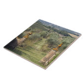 Wijngaarden, Toscane, Italië Tegeltje (Zijkant)