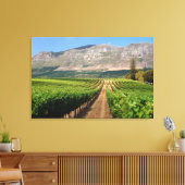 Wijngaarden van Groot Constantia-windomein Canvas Afdruk (Insitu (Woonkamer))