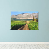Wijngaarden van Groot Constantia-windomein Canvas Afdruk (Insitu (Houten vloer))