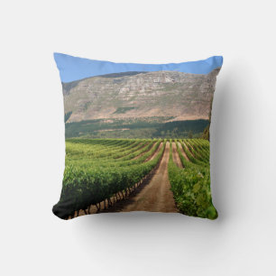 Wijngaarden van Groot Constantia-windomein Kussen