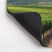 Wijngaarden van Groot Constantia-windomein Muismat (Hoek)