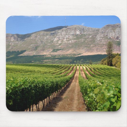 Wijngaarden van Groot Constantia-windomein Muismat (Voorkant)