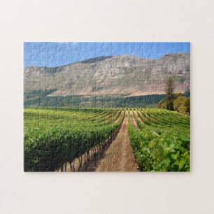 Wijngaarden Van Groot Constantia Winedomein Legpuzzel
