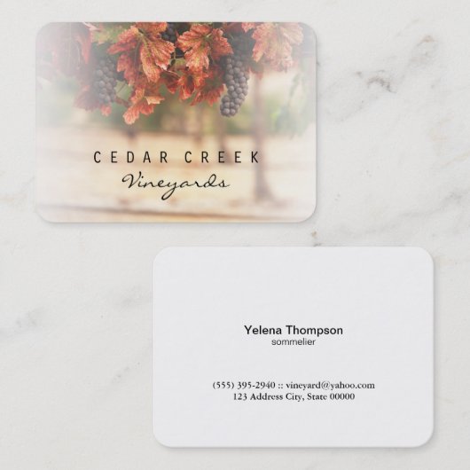 wijngaarden visitekaartje (Voorkant / Achterkant)