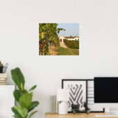 Wijngaarden, wijnstokrassen en wijngaarden poster (Thuiskantoor)