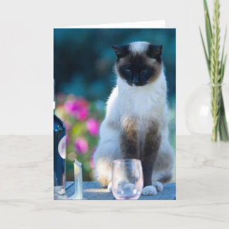 Wijnkat Kaart