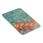 Wijnkoeling 2010 magneet (Rechterzijde)