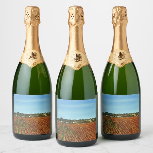 Wijnlabels Sparkling Wijnetiket (Flessen)