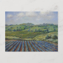 Wijnland-Briefkaart Briefkaart
