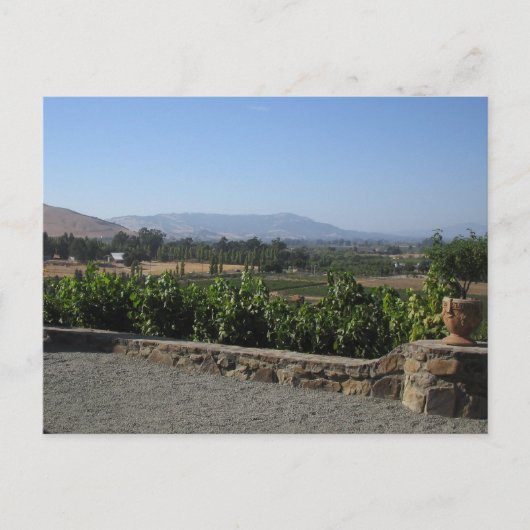 Wijnland-land Briefkaart (Voorkant)