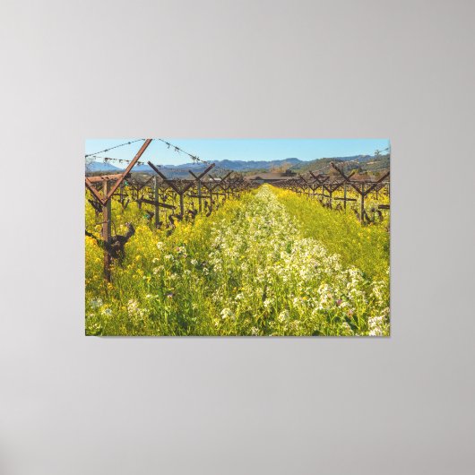 Wijnland Lente Canvas Afdruk (Voorkant)