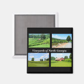 Wijnland Noord-Georgië Magneet (Voorkant / Achterkant)