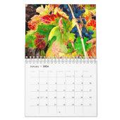 Wijnland, Sonoma County, California Calendar Kalender (Jan 2026)