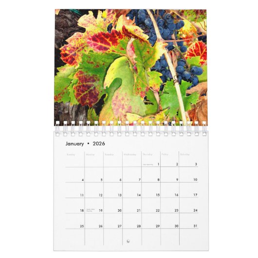 Wijnland, Sonoma County, California Calendar Kalender (Jan 2026)
