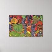 Wijnland Triptych 3-panelcanvas kunstwijnbouw Canvas Afdruk (Voorkant)