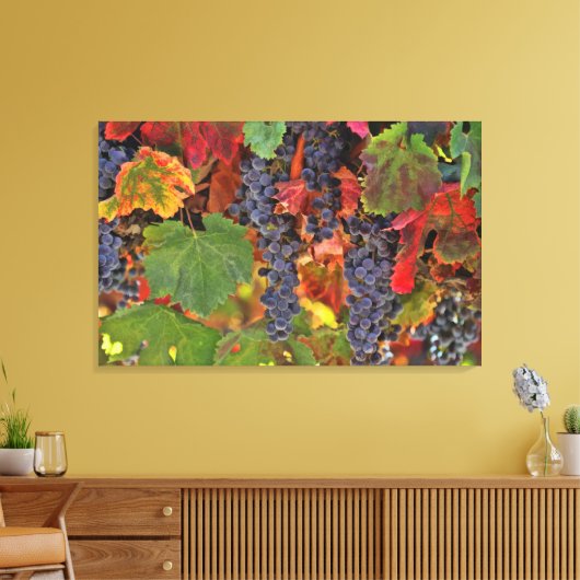 Wijnland Triptych 3-panelcanvas kunstwijnbouw Canvas Afdruk (Insitu (Woonkamer))