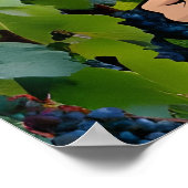 Wijnmaker, wijngaard, wijn is het levenselixer poster (Hoek)