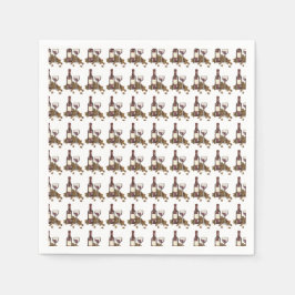 Wijnmakerij glazen fles rode wijn proeven wijngaar servet