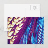 Wijnsteenzuur Crystals Briefkaart (Voorkant / Achterkant)