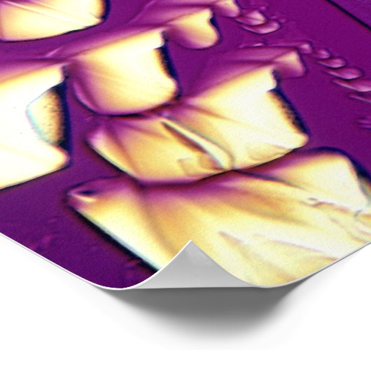 Wijnsteenzuur Crystals Poster (Hoek)