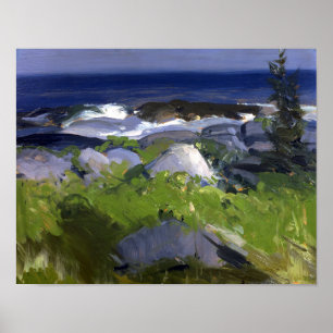 Wijnstok beklede wal - balg poster