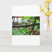 Wijnstok Kaart (Gele Bloem)