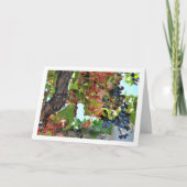 Wijnstok met rode druiven kaart (Voorkant)