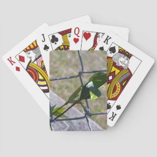 wijnstok op een hek van schakels het leven vindt e pokerkaarten
