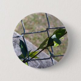 wijnstok op een hek van schakels het leven vindt e ronde button 5,7 cm
