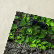 Wijnstok overdekte boomschors rustieke natuur brui