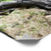 Wijnstok voor wijnstokken poster (Hoek)