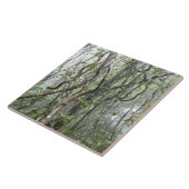 wijnstokken en bijkantoren in het regenwoud tegeltje (Zijkant)