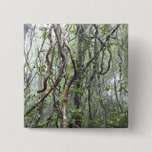 wijnstokken en bijkantoren in het regenwoud vierkante button 5,1 cm