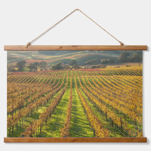 Wijnstokken in California Wine Country Hangend Wandkleed