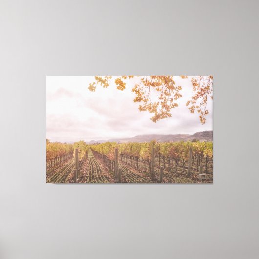 Wijnstokken in de herfst canvas afdruk (Voorkant)