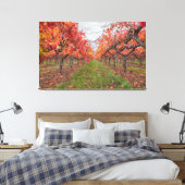 Wijnstokken in de herfst canvas afdruk (Insitu (Slaapkamer))