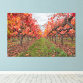 Wijnstokken in de herfst canvas afdruk (Insitu (Houten vloer))
