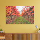 Wijnstokken in de herfst canvas afdruk (Insitu (Woonkamer))