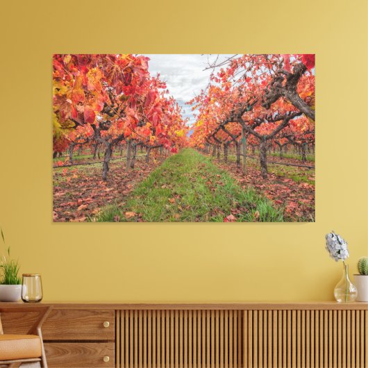 Wijnstokken in de herfst canvas afdruk (Insitu (Woonkamer))