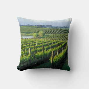 Wijnstokken in nette rijen in Californië's Napa Kussen