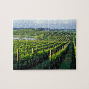 Wijnstokken in nette rijen in Californië's Napa Legpuzzel