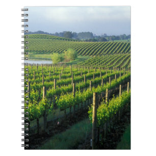 Wijnstokken in nette rijen in Californië's Napa Notitieboek