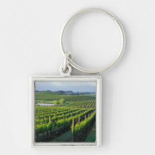 Wijnstokken in nette rijen in Californië's Napa Sleutelhanger