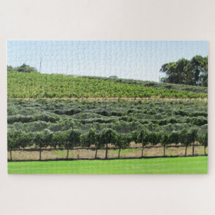 wijnstokken legpuzzel