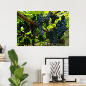 Wijnstokken Poster (Thuiskantoor)