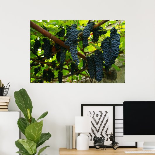 Wijnstokken Poster (Thuiskantoor)