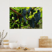 Wijnstokken Poster (Keuken)