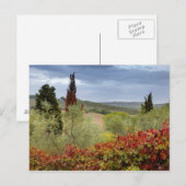 Wijntuin bij Montalcino, Toscane, Italië Briefkaart (Voorkant / Achterkant)