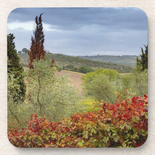 Wijntuin bij Montalcino, Toscane, Italië Drankjes Onderzetter (Voorkant)